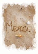 Sable et coquillages pour dire merci
